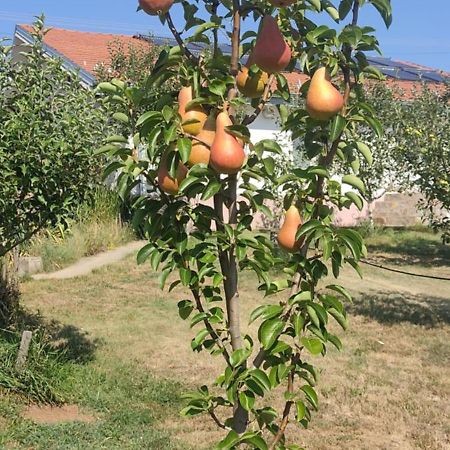 Batocina Hotel Cider&Squash, Grncarska 8, Prnjavor מראה חיצוני תמונה