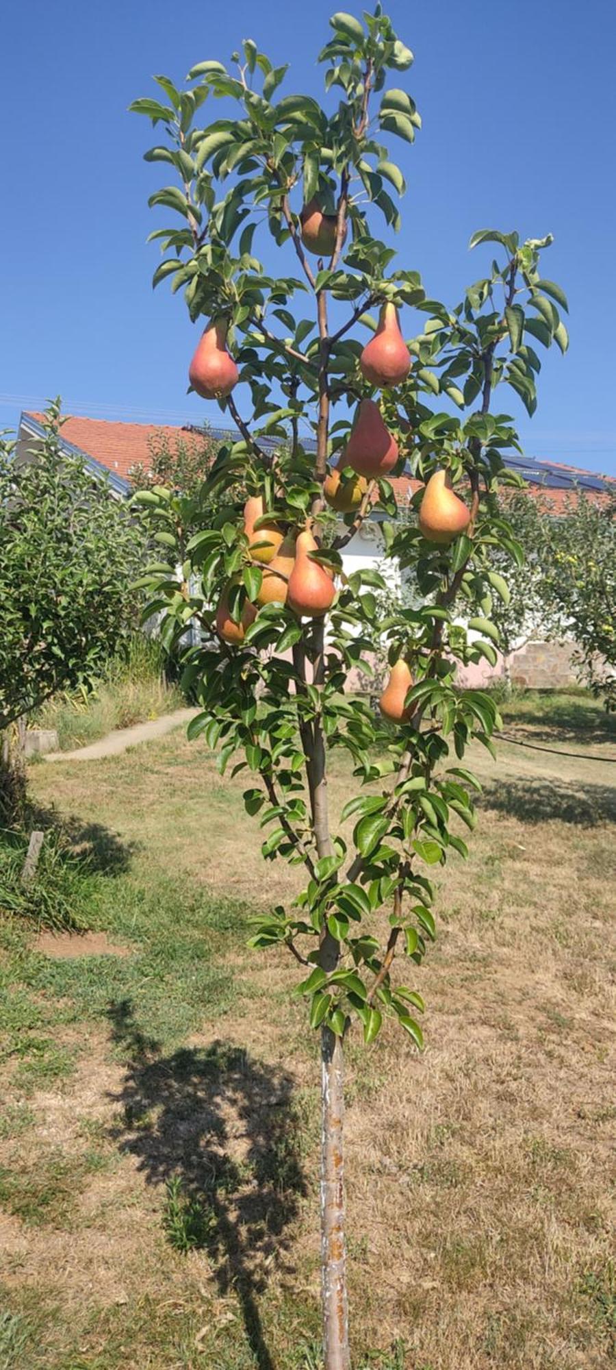 Batocina Hotel Cider&Squash, Grncarska 8, Prnjavor מראה חיצוני תמונה