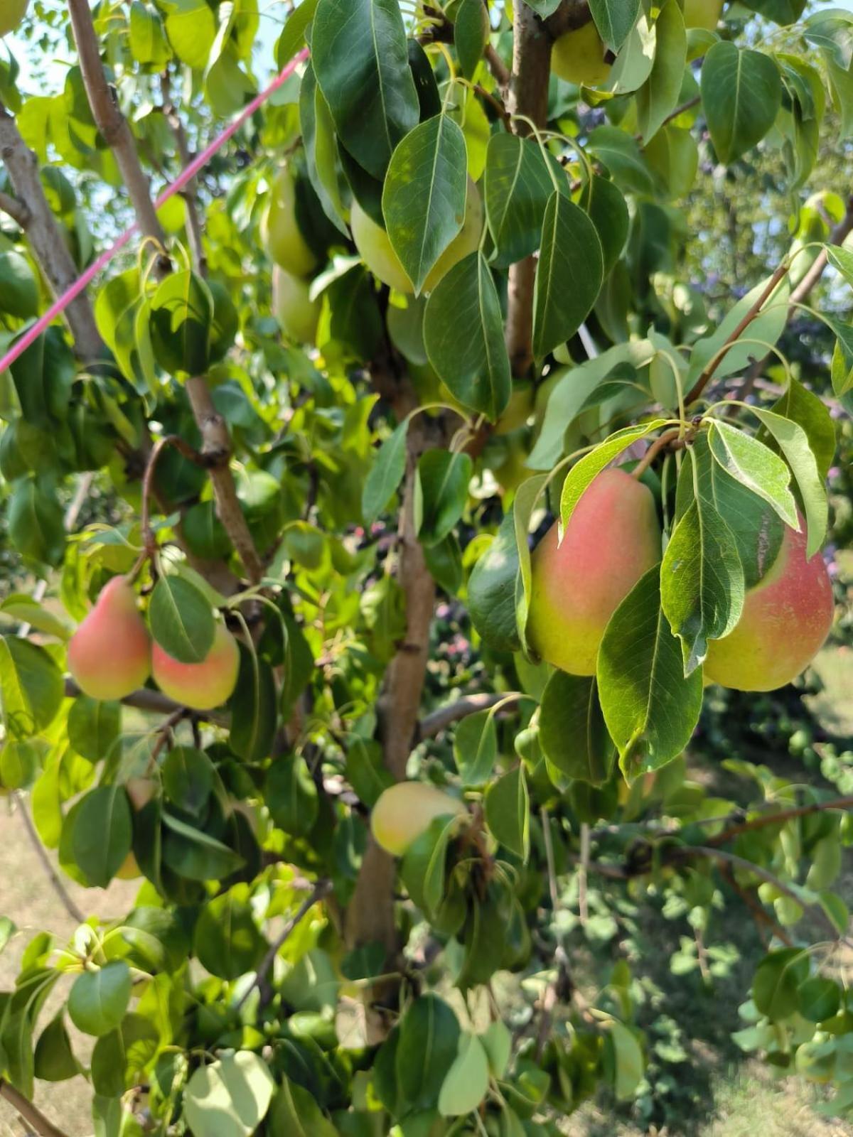 Batocina Hotel Cider&Squash, Grncarska 8, Prnjavor מראה חיצוני תמונה